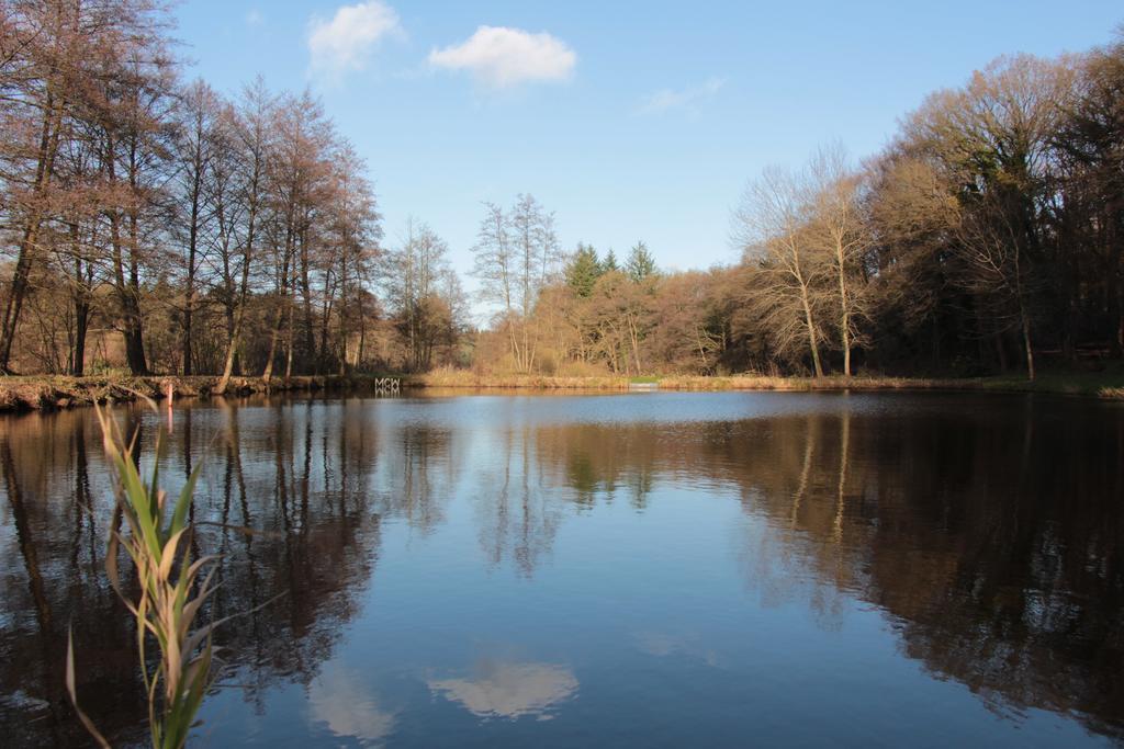 Готель Gut Altona Dotlingen Екстер'єр фото